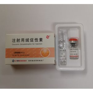 hcg-5000iu-livzon | Dragon Pharma Store | Dragon Pharma